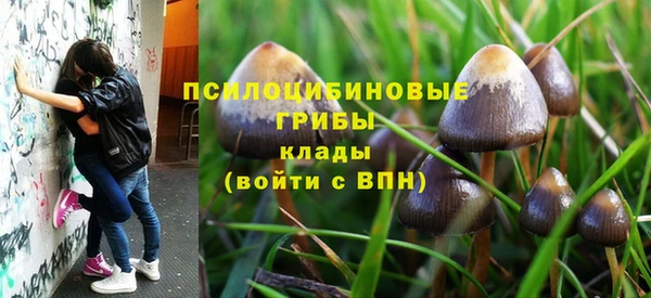 спайс Алексеевка